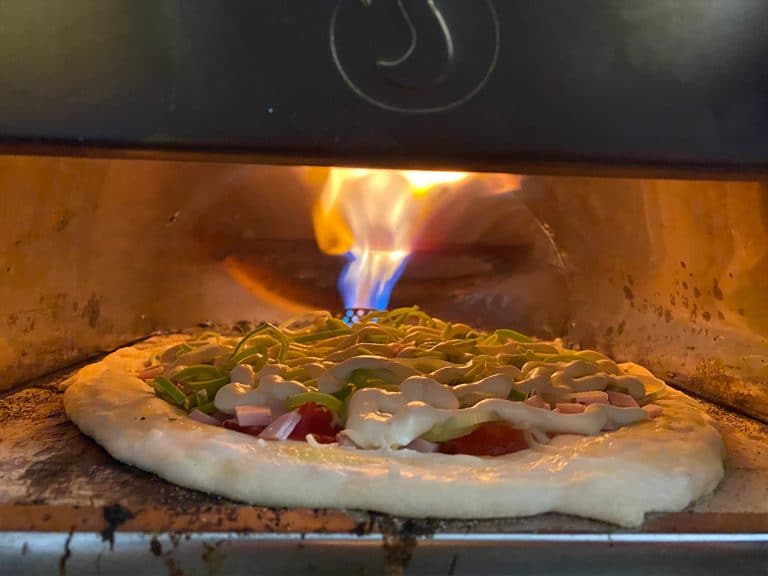 Ooni Karu Review: The 12 Multi-Fuel Pizza Oven - Pala Pizza Ovens