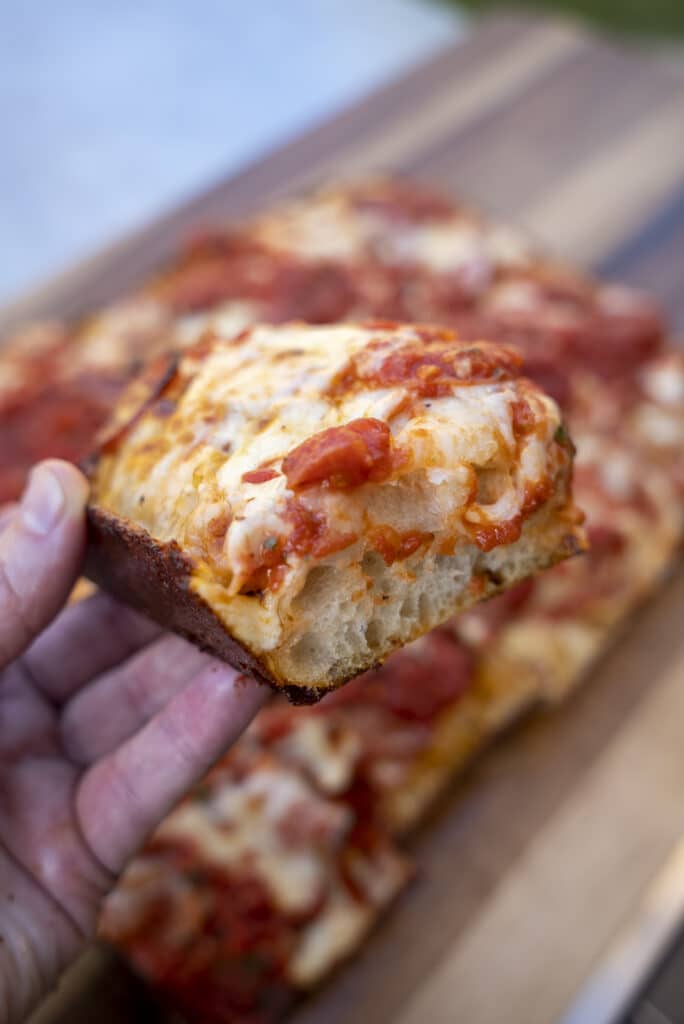 Sourdough Pan Pizza (Detroit & Sicilian Styles) – Breadtopia