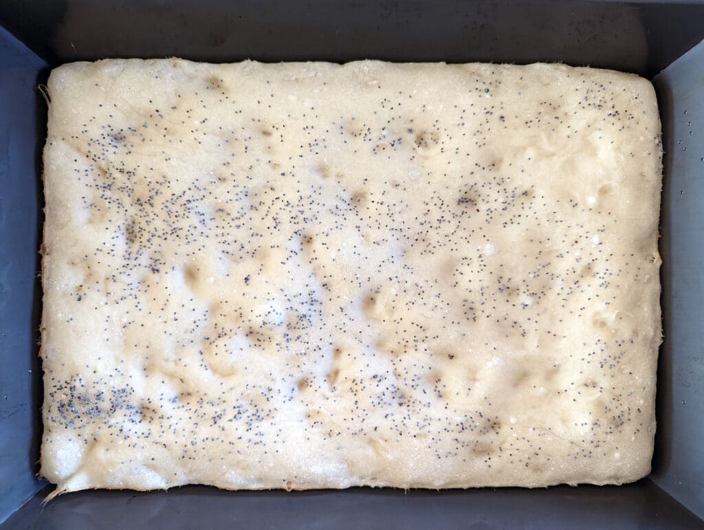 Poppy seed pizza dough