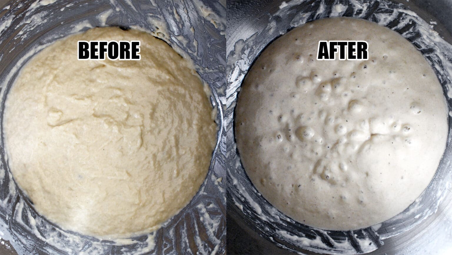 Complete Guide to Poolish Pizza Dough (Plus Recipe) Pala Pizza Ovens