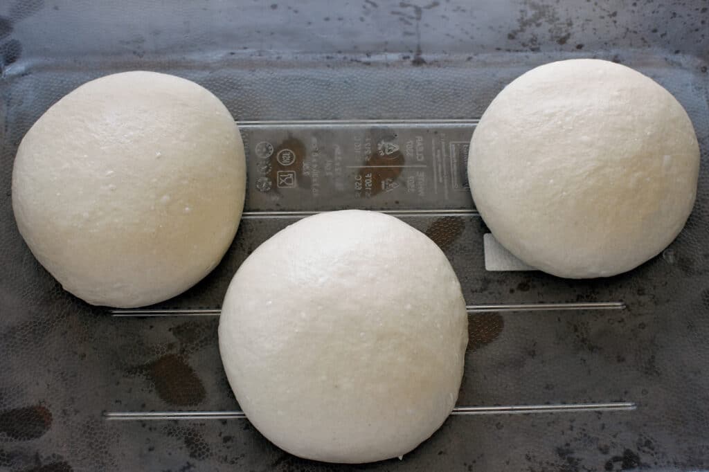 poolish pizza dough proofed