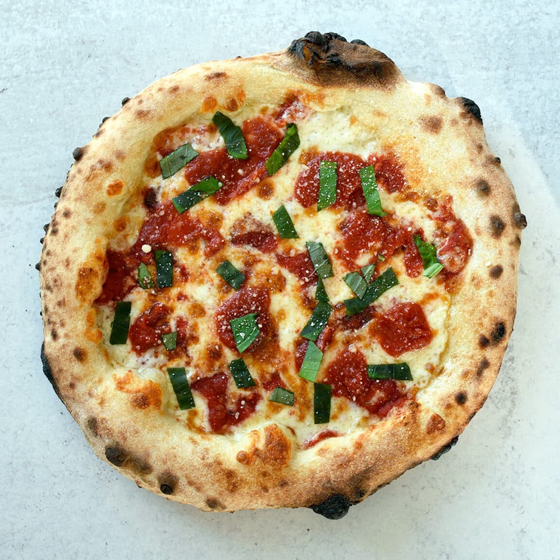 Complete Guide to Poolish Pizza Dough (Plus Recipe) Pala Pizza Ovens