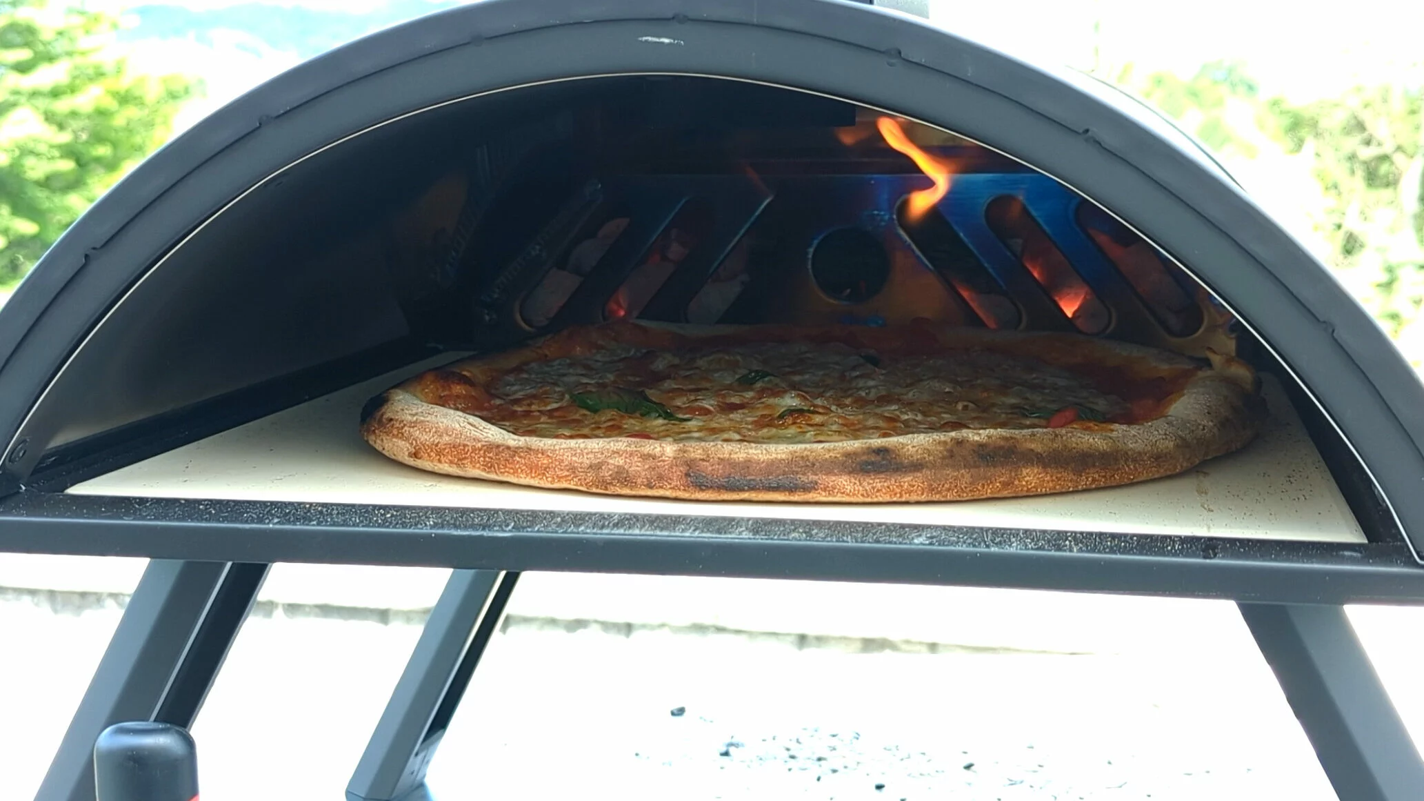 Review: Ninja Woodfire Outdoor Pizza Oven - Pala Pizza Ovens